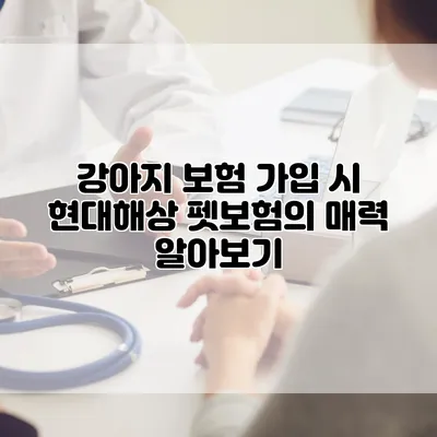 강아지 보험 가입 시 현대해상 펫보험의 매력 알아보기