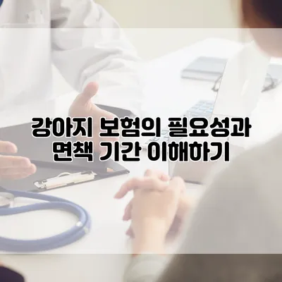 강아지 보험의 필요성과 면책 기간 이해하기