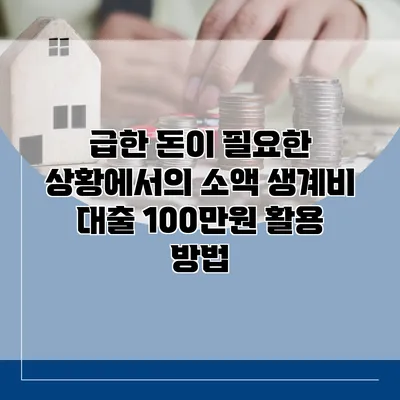 급한 돈이 필요한 상황에서의 소액 생계비 대출 100만원 활용 방법