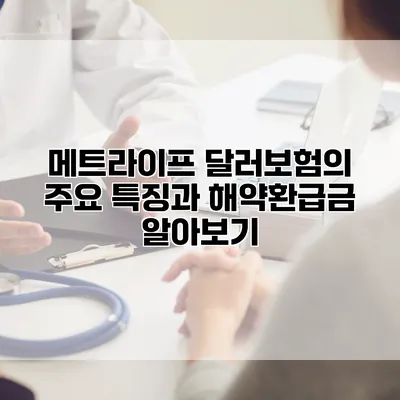 메트라이프 달러보험의 주요 특징과 해약환급금 알아보기