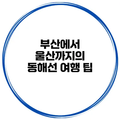 부산에서 울산까지의 동해선 여행 팁