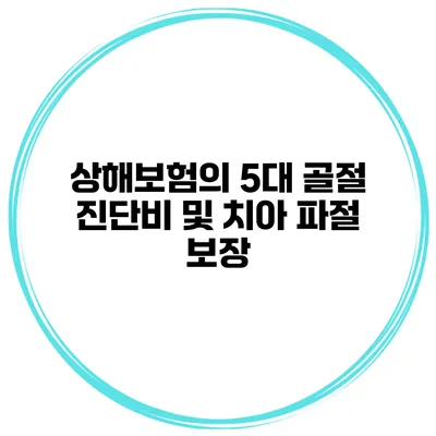 상해보험의 5대 골절 진단비 및 치아 파절 보장